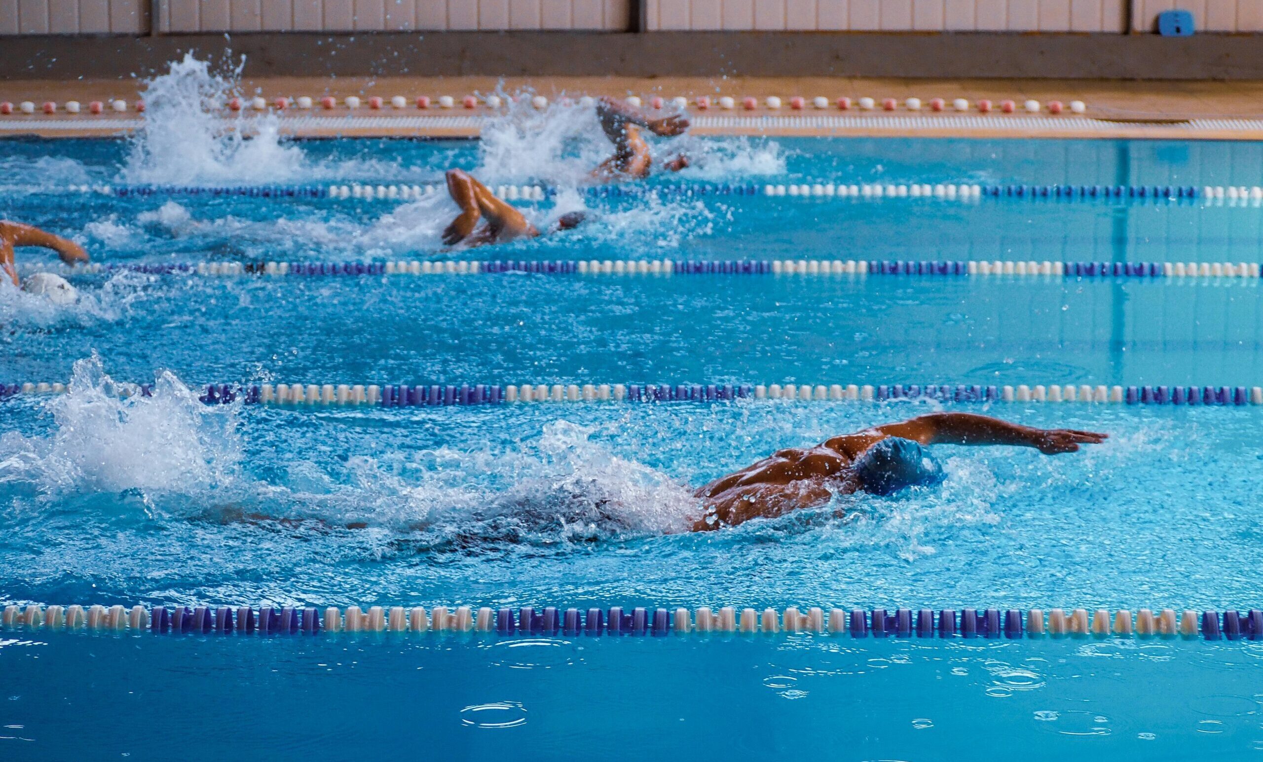 Swimmers in action during a race in an indoor swimming pool, showcasing athleticism.